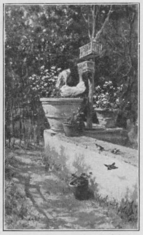 Ragazza alla casetta per gli uccelli